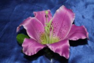 Лилия фиолетовая на присоске арт. 128-015