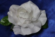Роза белая матовая на присоске арт. 128-019