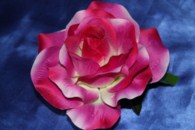Роза сиренево-розовая на присоске арт. 128-024