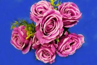 Букет розы фиолетовые 7 голов арт. 138-083