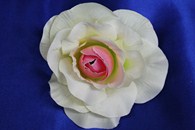 Роза белая с розовой серединкой матовая (головка) Мин. заказ от 10шт! арт.137-003
