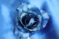 Роза синяя (головка) Мин. заказ от 10шт! арт. 137-070